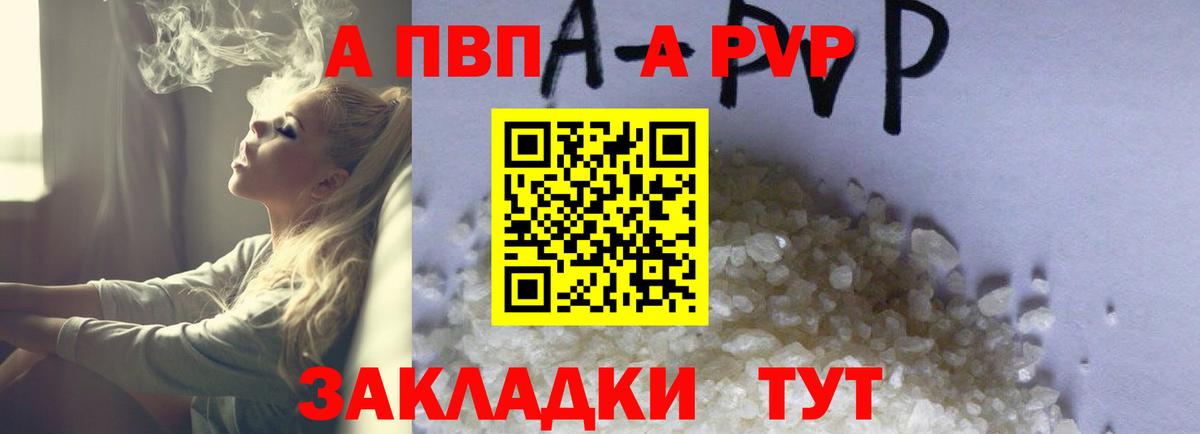 A PVP СК КРИС Саратов